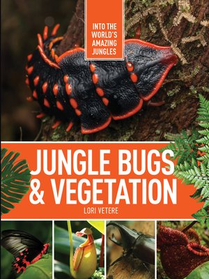 cover image of Jungle Bugs & Vegetation
